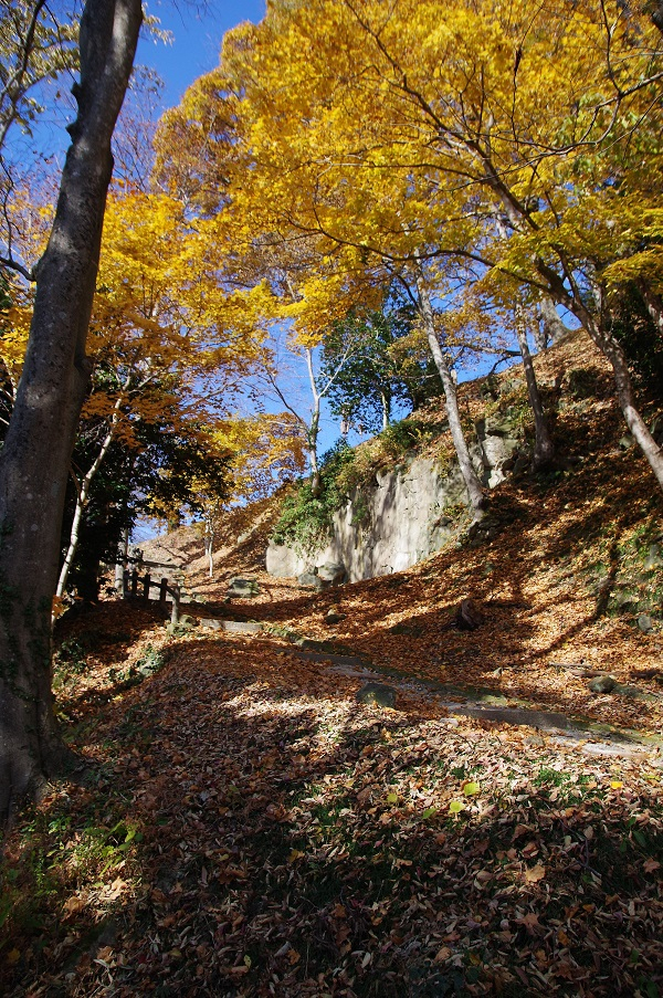 秋の城山公園（三之門付近）