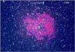 バラ星雲の写真