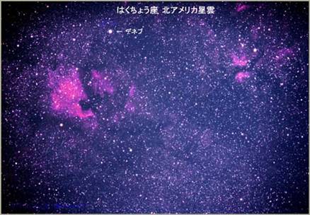 はくちょう座(北アメリカ星雲)の写真