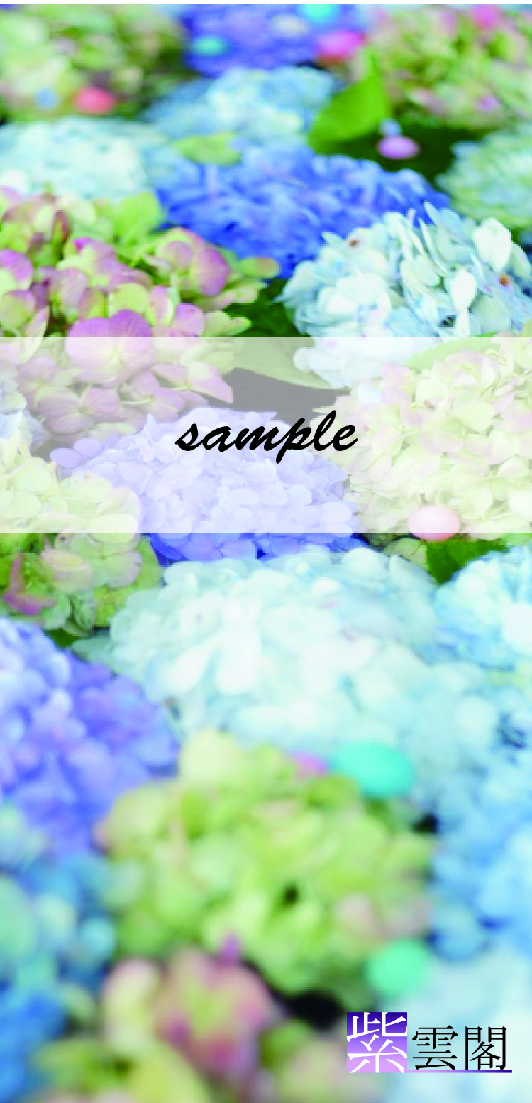 sample画像