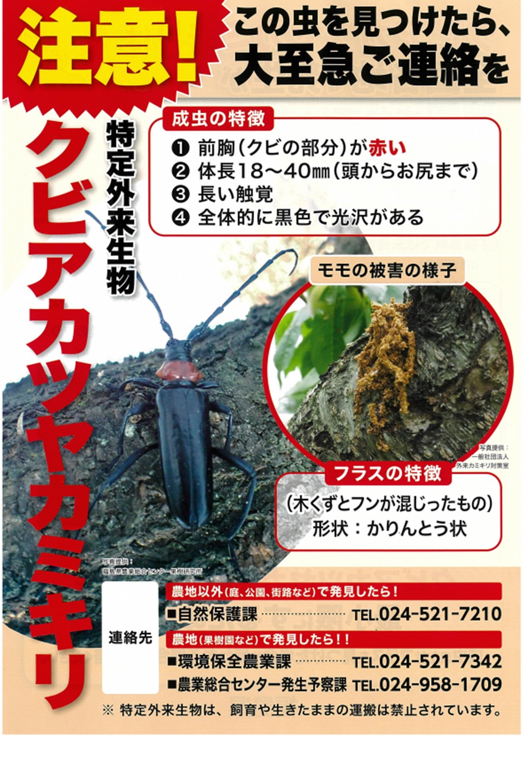スライド1 (2)