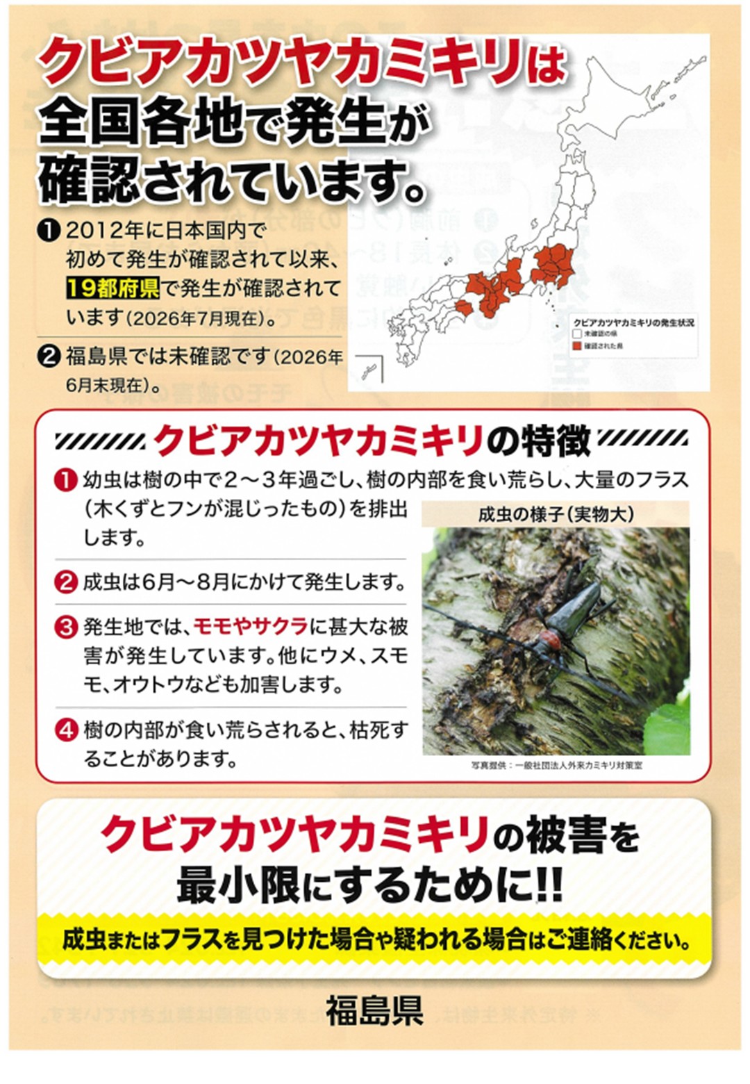スライド1 (3)