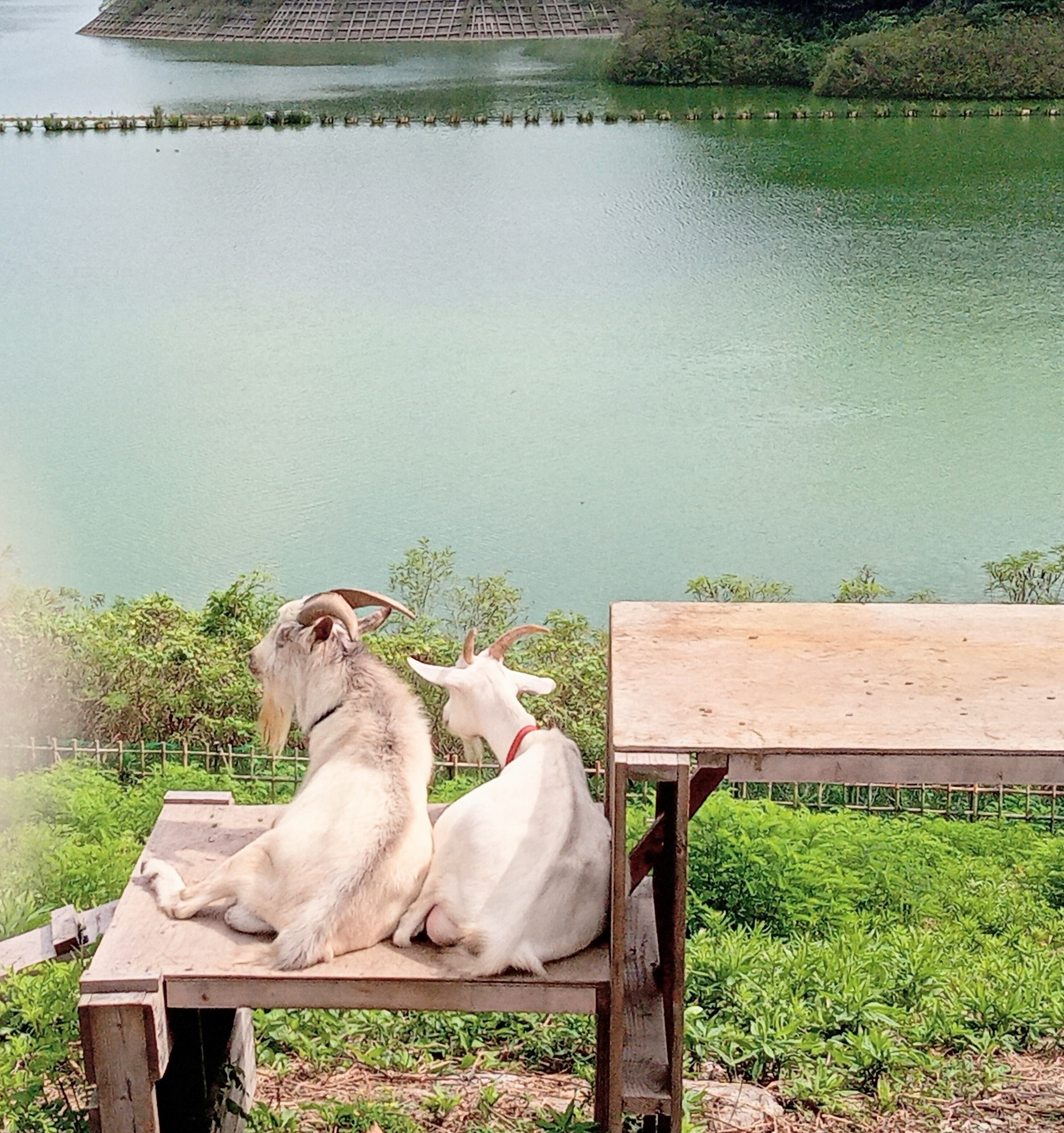 128_45_inbound6009024255230554100