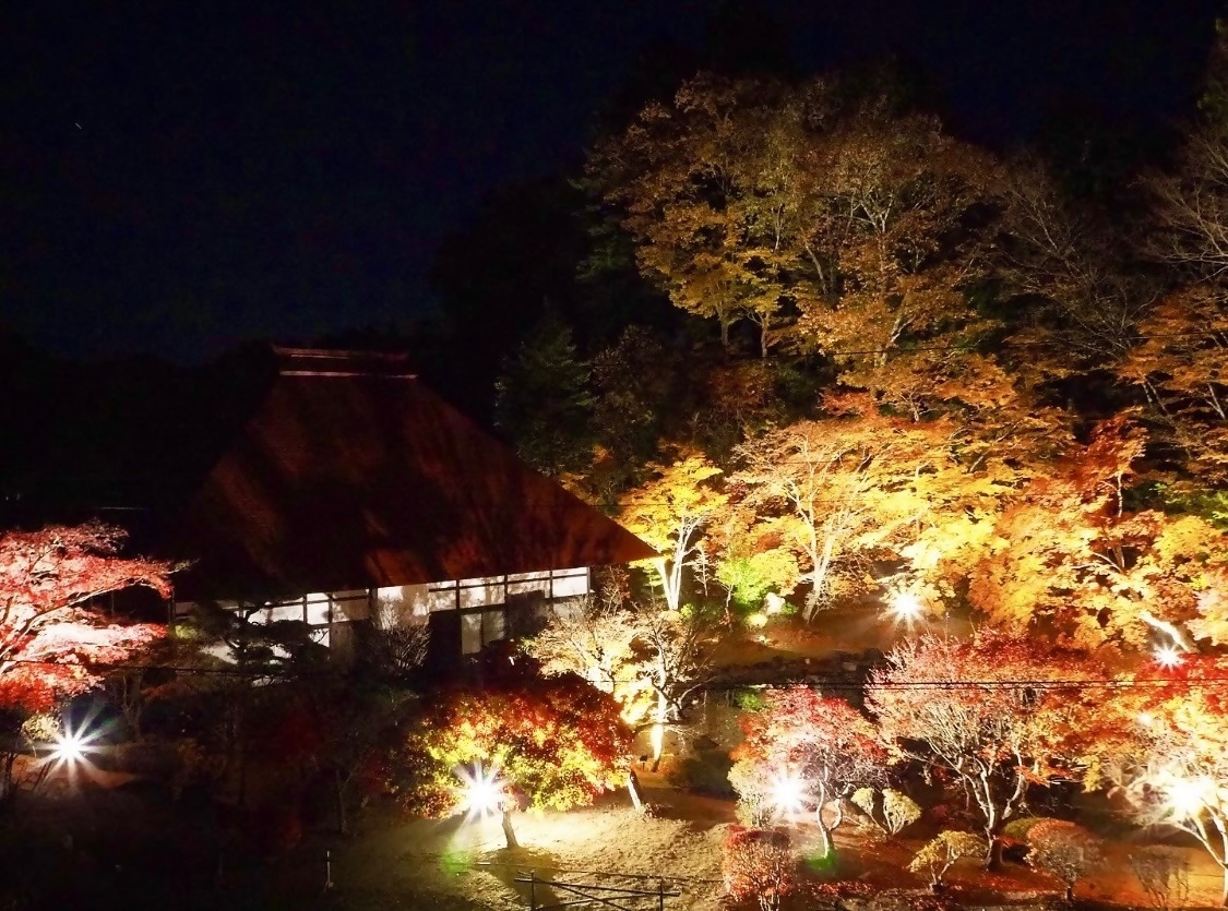 161_45_IMG_9198 Copy