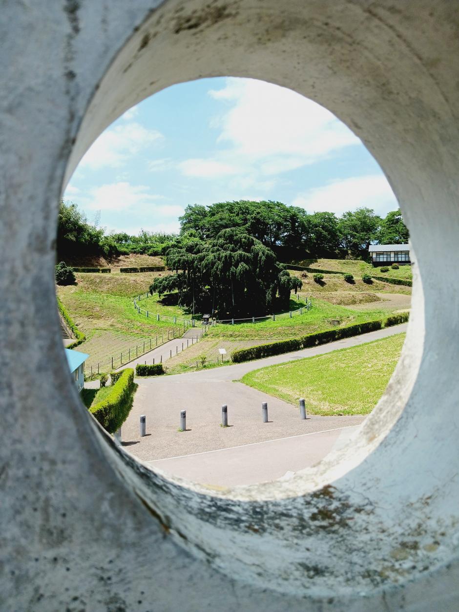 123_45_inbound8619747211037119648