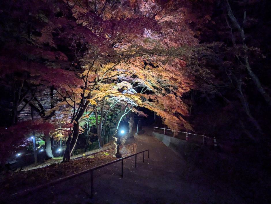 120_45_inbound3213801130565993221