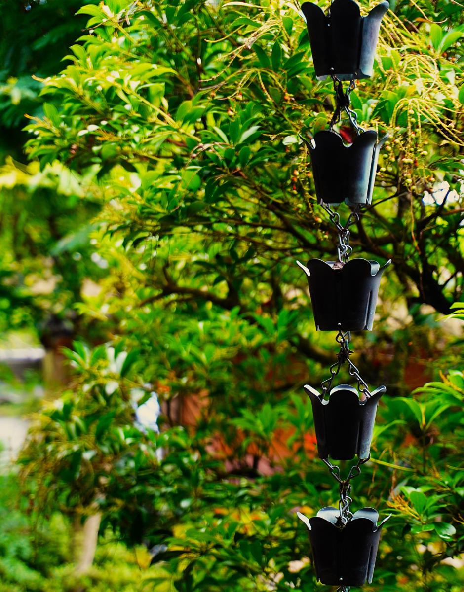 106_45_04_DSC05805(1)