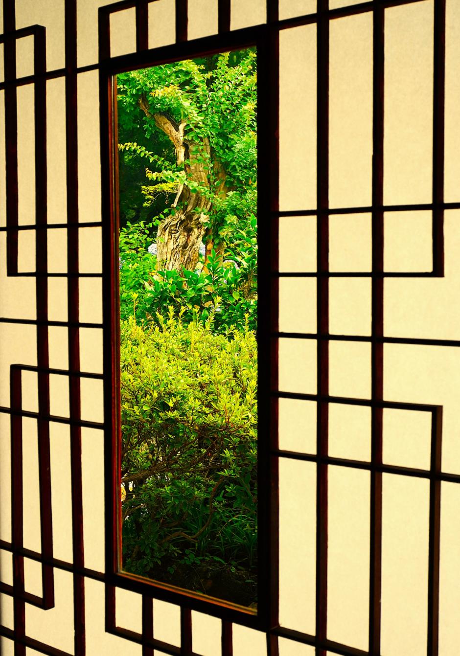 105_45_03_DSC05758(11)