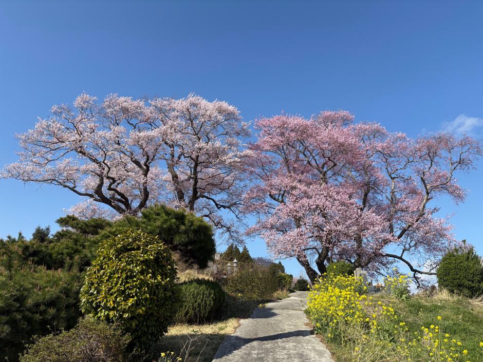 10_45_IMG_4787_Original