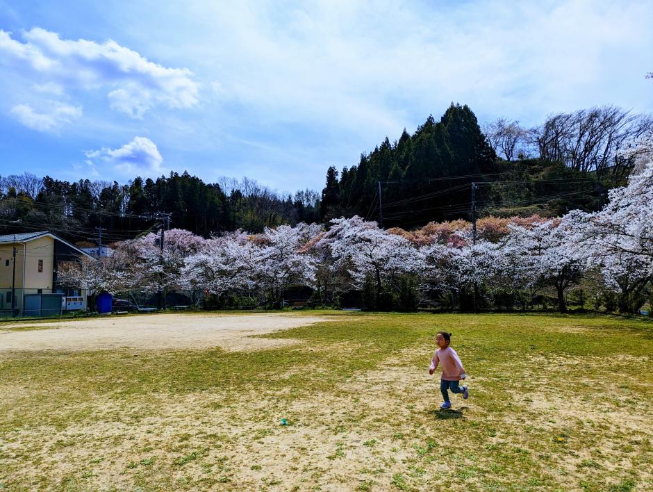 47_45_inbound3753122774603606787