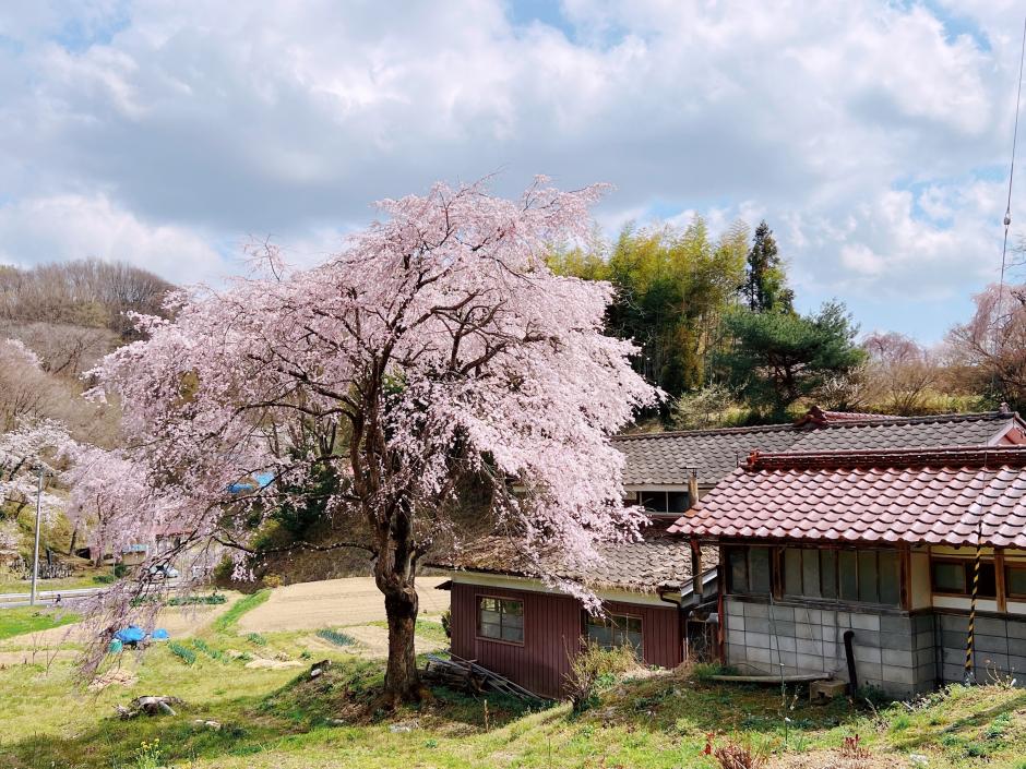 32_45_2232D049-01A5-4D1D-A2C3-A6CE60D1052A