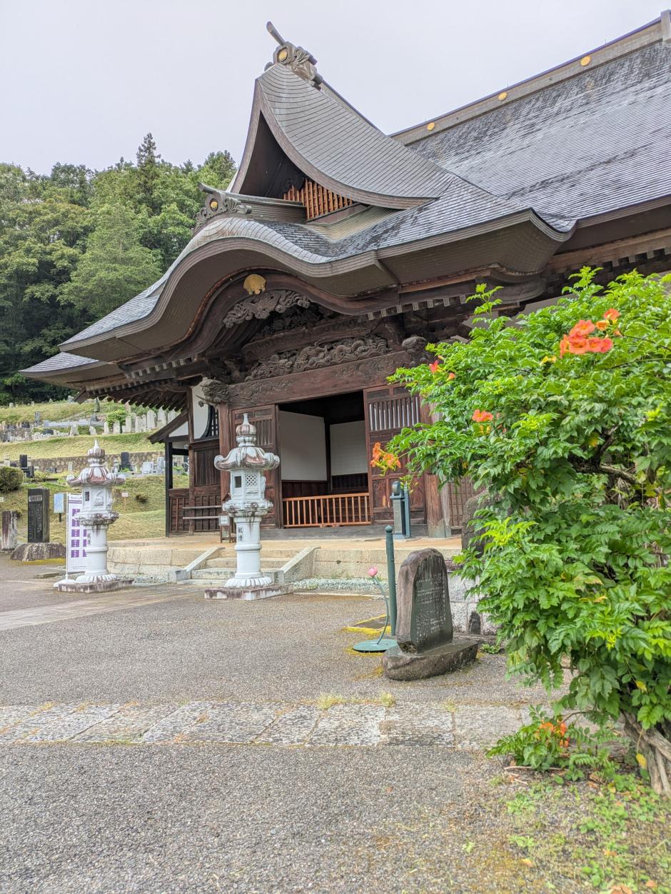 77_45_inbound2759789402477895440