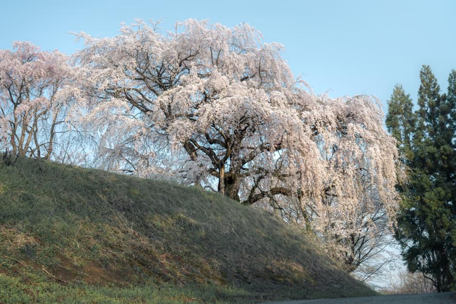 113_45_892A36B1-A882-4A7E-8238-385651B86156DSC_1630-1