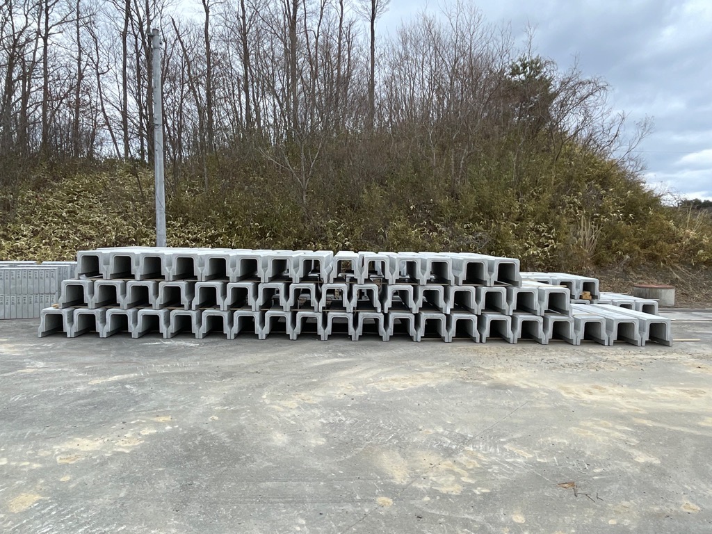 photo_20260313-034533_2