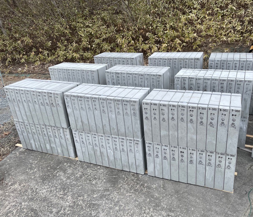 photo_20260313-034552_2 (1)