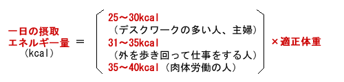 １日の摂取エネルギー量