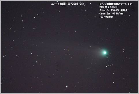 ニート彗星の写真