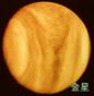 金星の写真