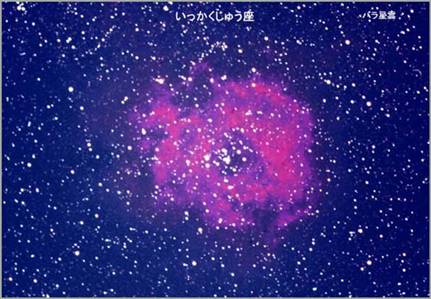 いっかくじゅう座(バラ星雲)の写真