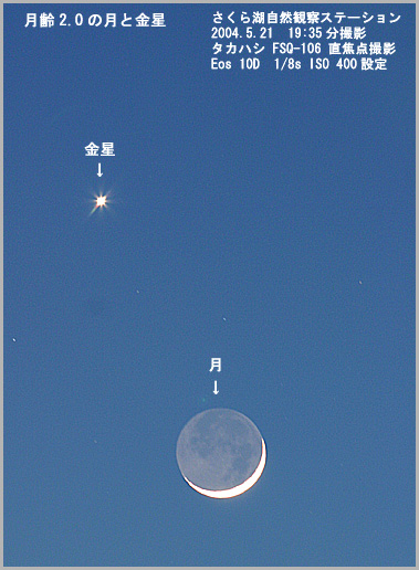 月と金星2の写真