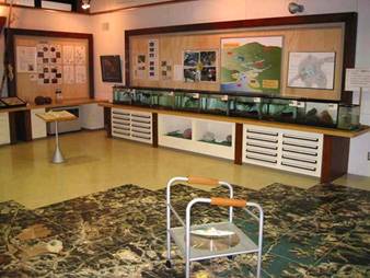 展示室（1F）の写真