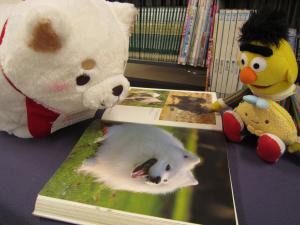 本を読む
