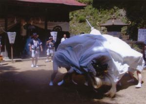八雲神社の長獅子舞