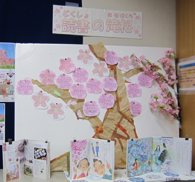 展示の様子