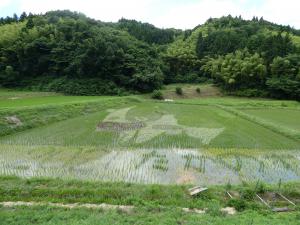 鷹巣