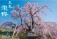 滝桜情報